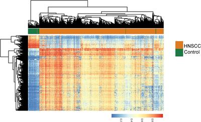 Integrative Analysis of DNA Methylation Data and Transcriptome Data Identified a DNA Methylation-Dysregulated Four-LncRNA Signature for Predicting Prognosis in Head and Neck Squamous Cell Carcinoma